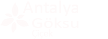 Antalya Anneler Günü Çiçekleri | Hızlı Teslim Antalya Anneler Günü Çiçekleri | Hızlı Teslim